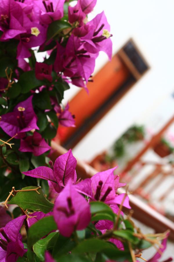 Amaru Hotel Huaraz Exterior photo